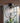 Moderne LED-loftlampe med fugle