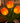 LED-tulipanlampe